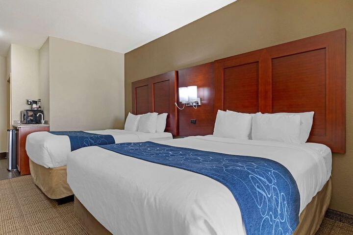 Comfort Suites Gainesville
