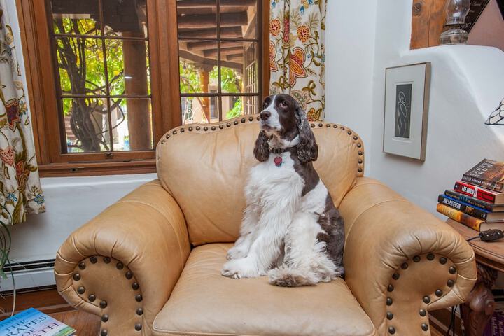 Pet Friendly 113 of 125