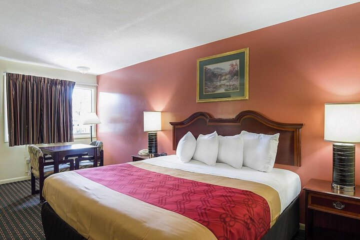Room 15 of 19