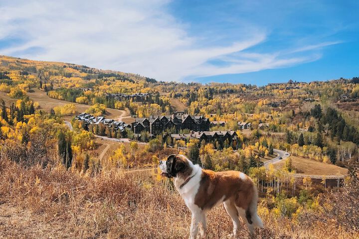 The Ritz-Carlton Bachelor Gulch