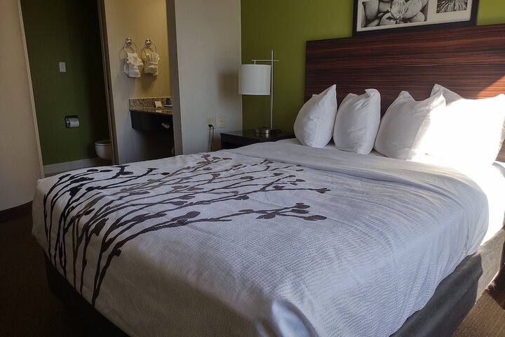 Room 15 of 26