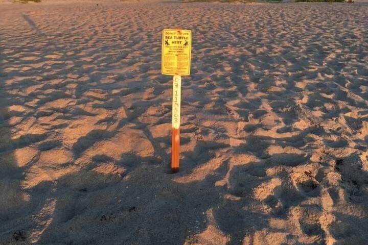 Beach 49 of 98