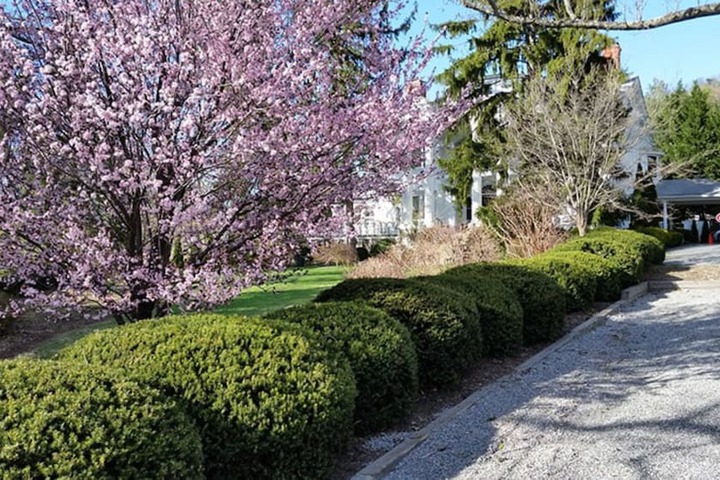 Albemarle Inn
