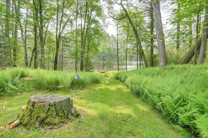Waterfront Studio w / Loft & Dock Near Narrowsburg!