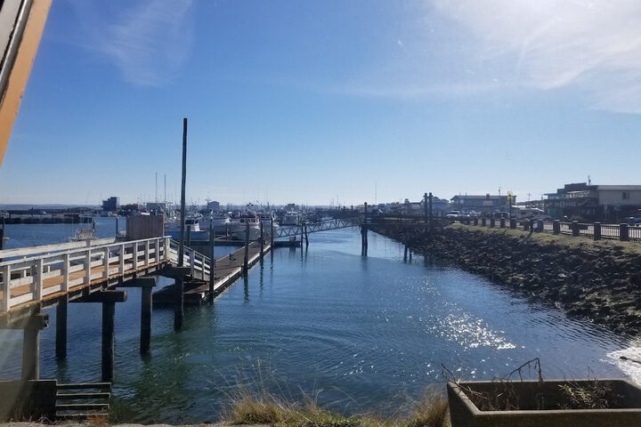 Islander Westport