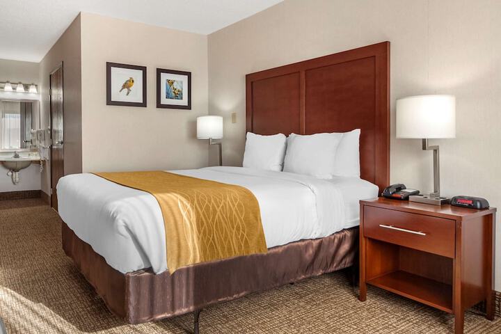 Comfort Inn Grand Island North