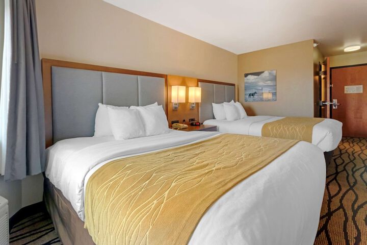 Comfort Inn & Suites Market - Airport