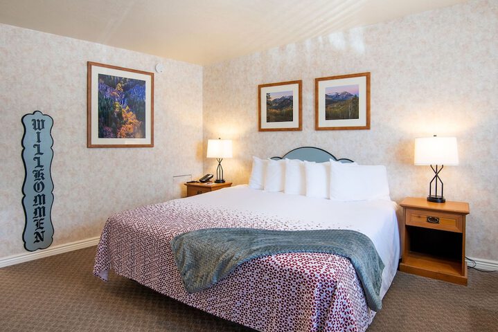 Swiss Alps Inn