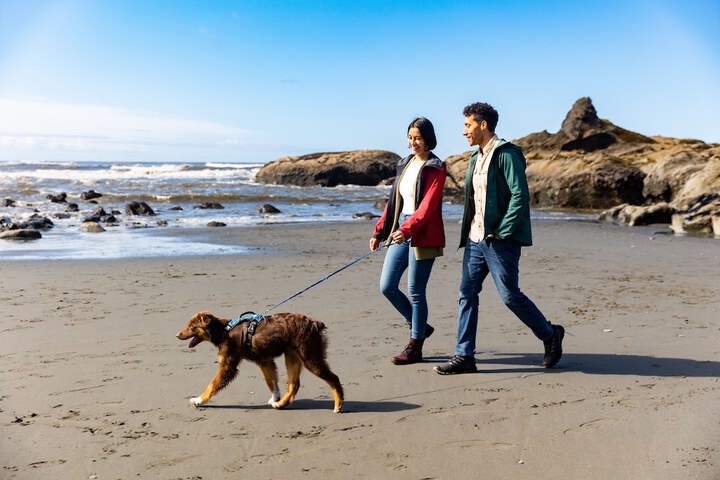 Kalaloch Lodge