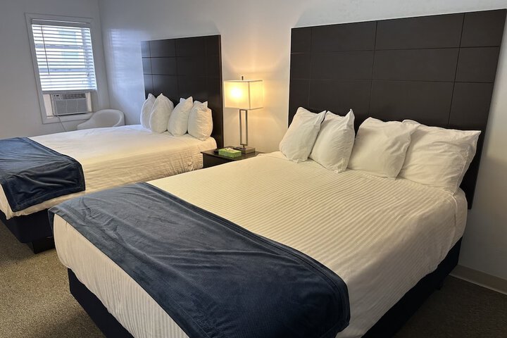 Room 21 of 65