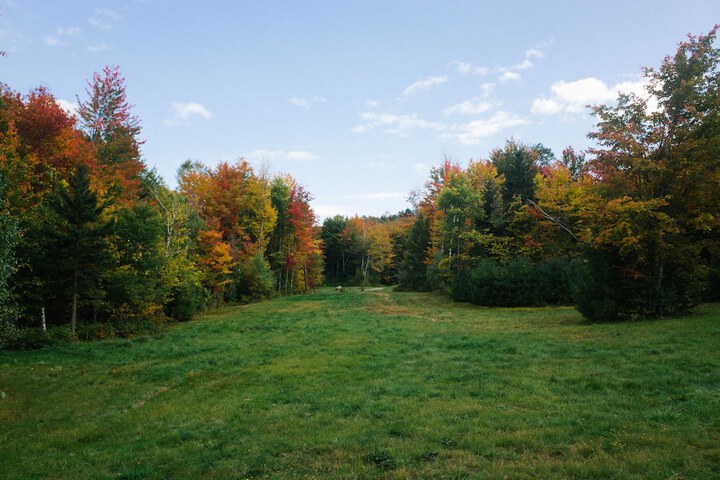 Property Grounds 54 of 55