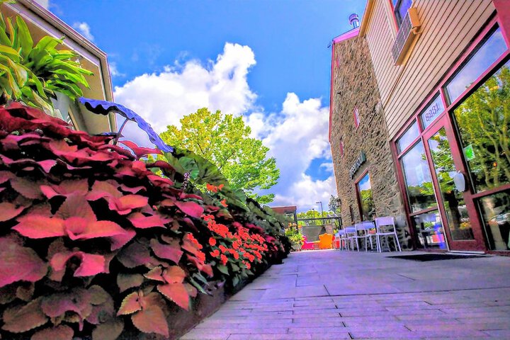 Terrace/Patio 29 of 36