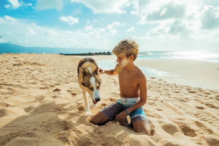 Ocean Sands Beach Boutique Inn - Stay at the Beach