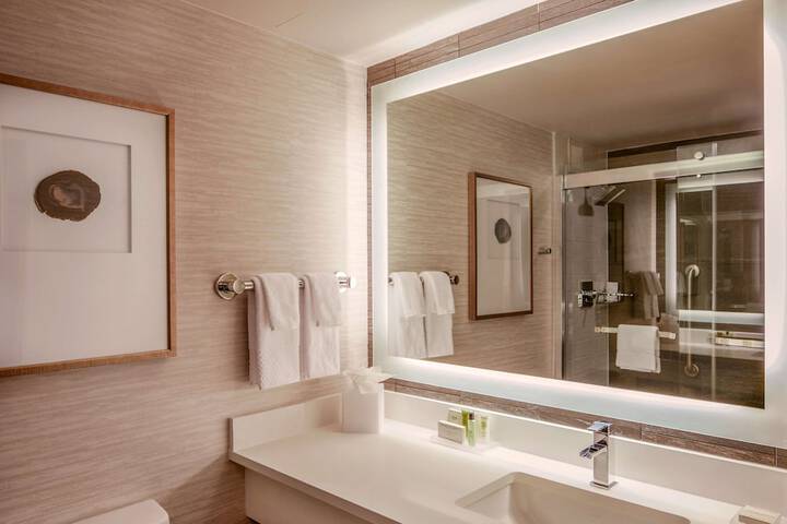 Hilton Denver City Center