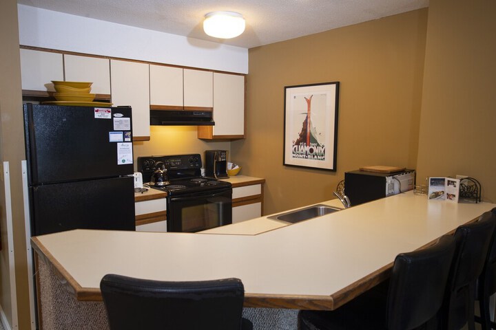 1br Ski-in Ski-out With King Bed- Okemo Mtn Lodge 1 Bedroom Condo by RedAwning