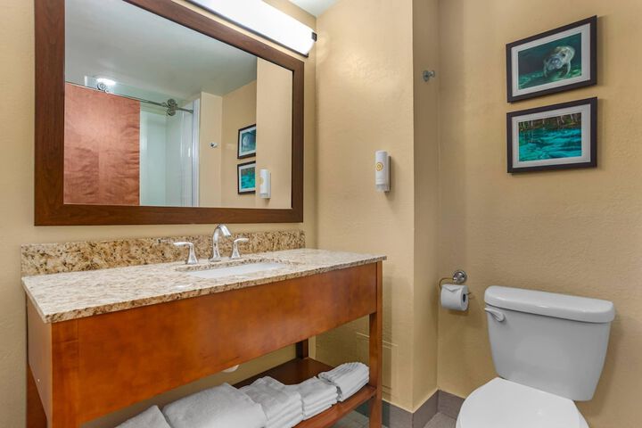 Comfort Suites Tallahassee Capitol - University Area