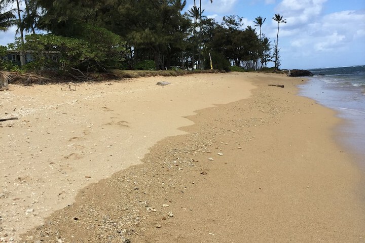 Beach 67 of 93