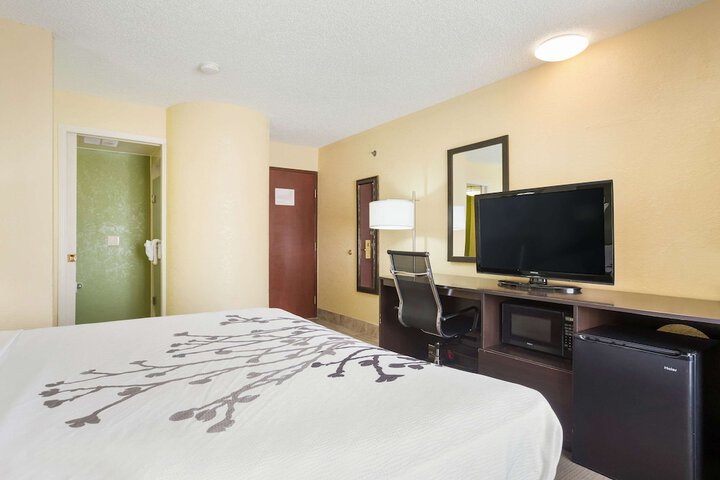 Room 33 of 56
