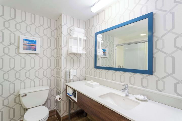 Hampton Inn Buffalo South / I-90