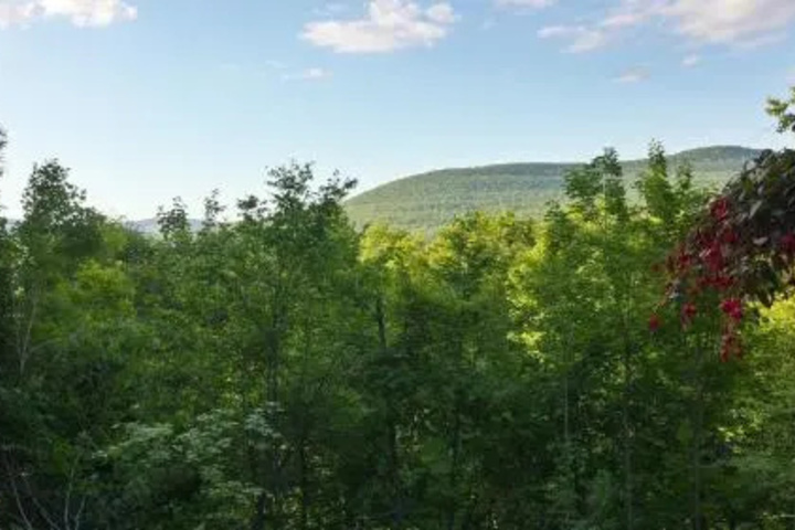 Apartment at Hunter Mountain