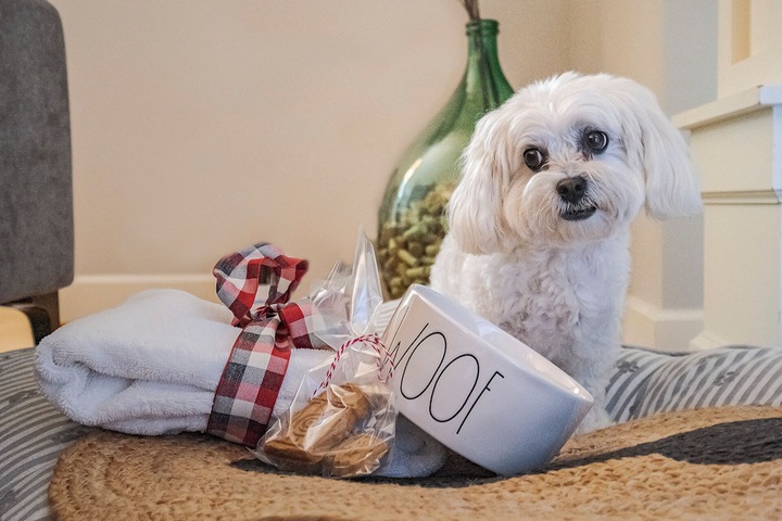 Pet Friendly 149 of 155