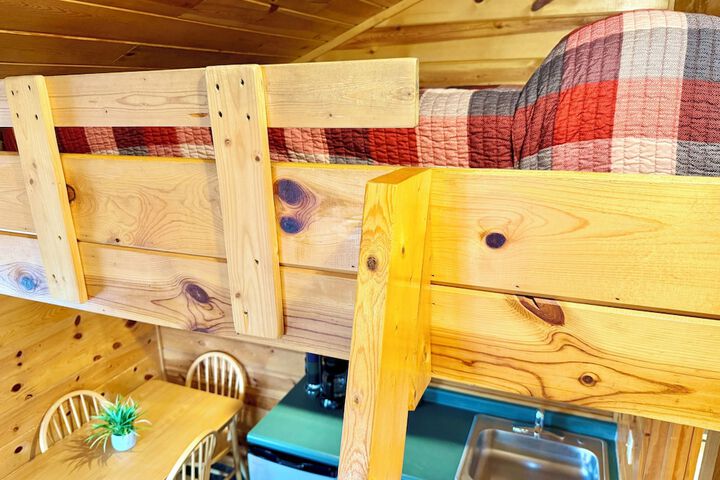 Mountain View Lodge & Cabins