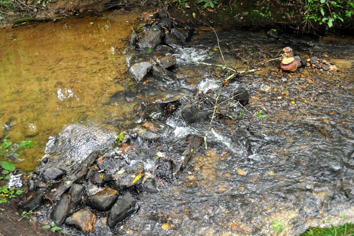 Twin Creeks