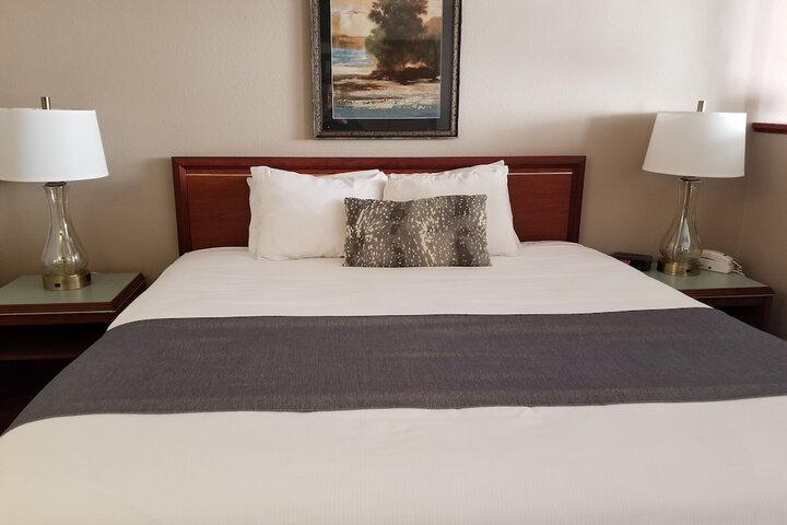 Room 12 of 24