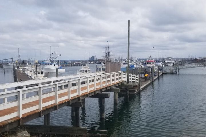 Islander Westport