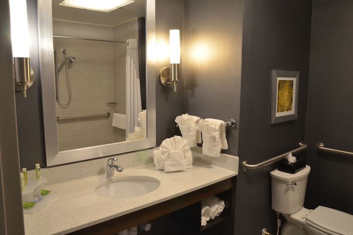 Holiday Inn Express Hotel & Suites Albany by IHG