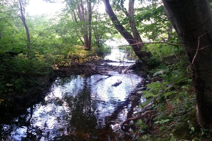 Property Grounds 64 of 70