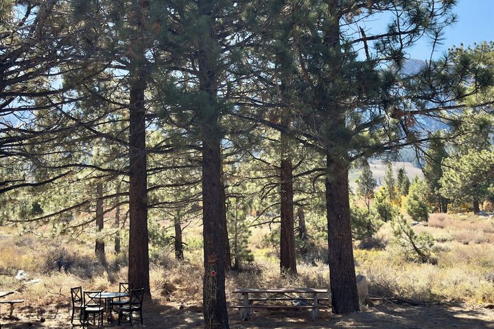 The Mammoth Creek Inn