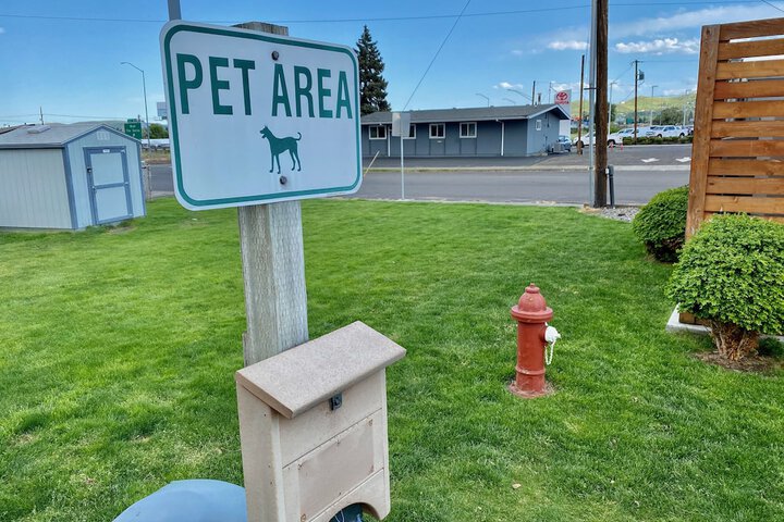 Pet Friendly 100 of 100