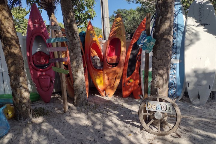 Bayfront Beauty