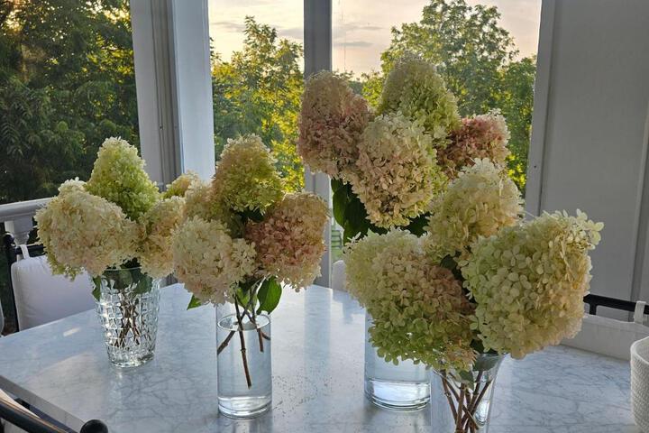 Peach Grove House