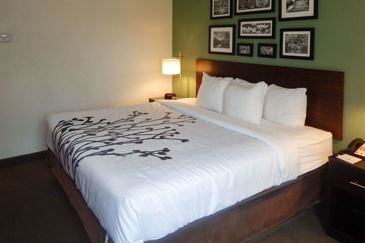Room 19 of 46