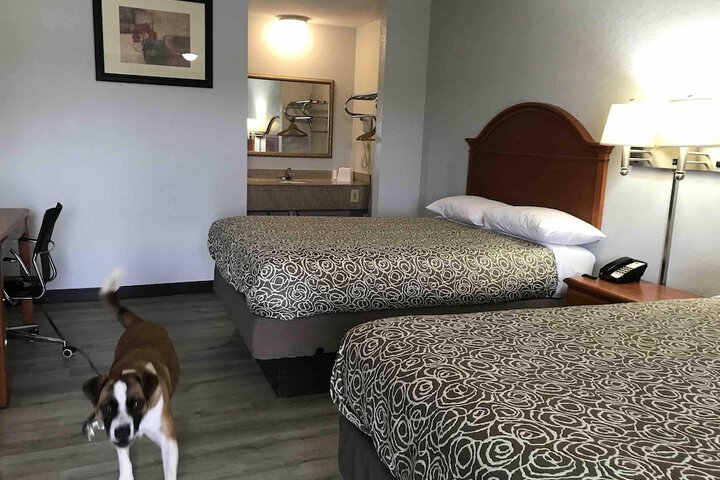 Room 10 of 18