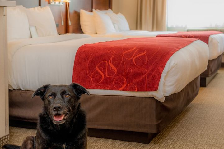 Comfort Suites Springfield-Eugene