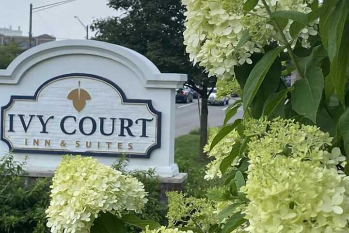 Ivy Court Inn & Suites