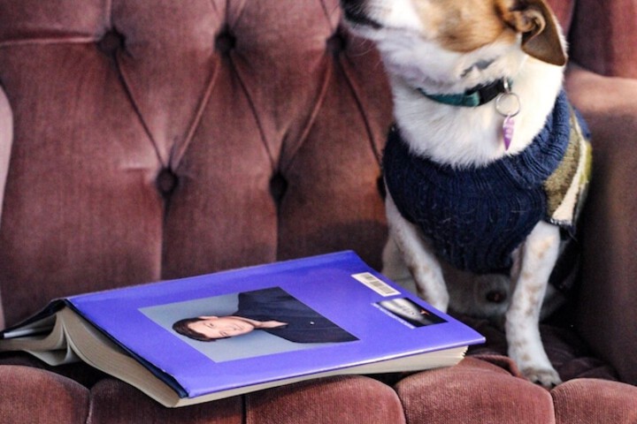 Pet Friendly 46 of 46