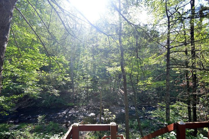 Rosies Creekside Retreat - 3 BR Escape!