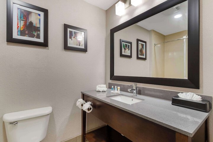 Comfort Suites Shenandoah-The Woodlands