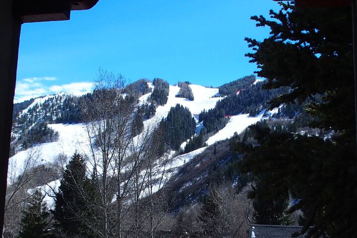 Tyrolean Lodge