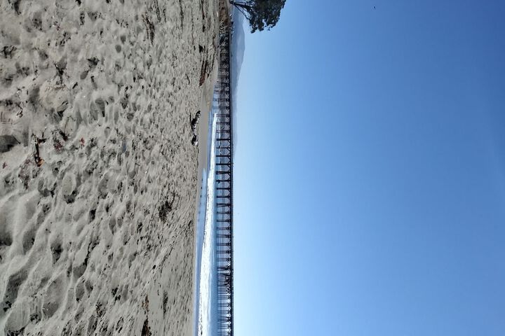 Beach Bungalow Inn and Suites