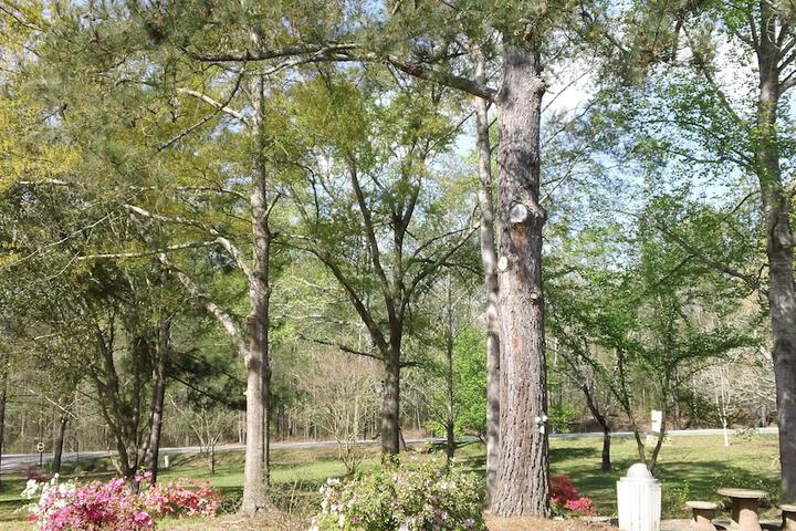 Property Grounds 19 of 23