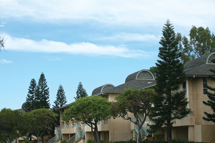 Paniolo Greens at Waikoloa