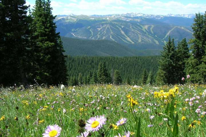 Holiday Inn Express & Suites Fraser - Winter Park Area by IHG