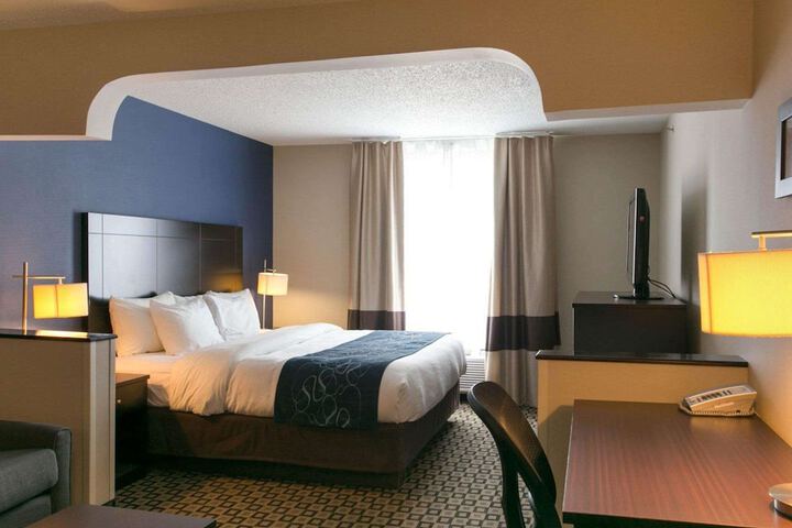 Comfort Suites Benton Harbor - St. Joseph