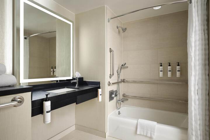 Embassy Suites by Hilton Chicago Downtown Magnificent Mile