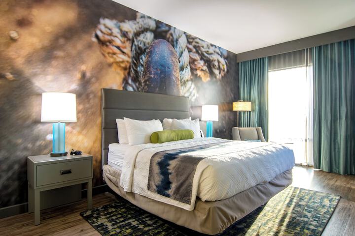 Hotel Indigo Tuscaloosa Downtown by IHG